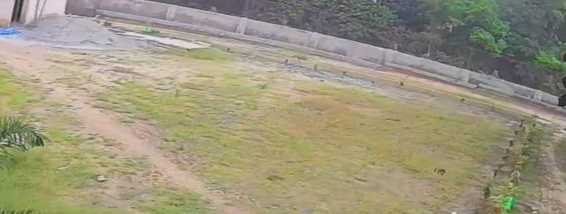 Lawn and surrounding view at The Acre, actual site photograph